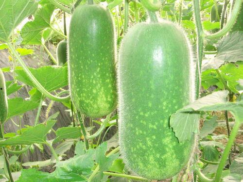 368吃瓜,揭秘娱乐圈那些不为人知的幕后故事