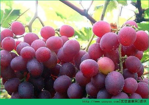 吃葡萄和吃哈密瓜,甜蜜滋味，健康相伴