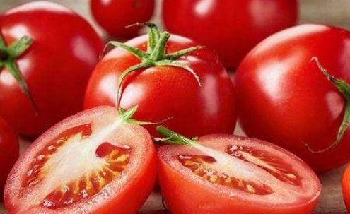 余年吃瓜番茄小说,余年吃瓜小说的甜蜜与苦涩