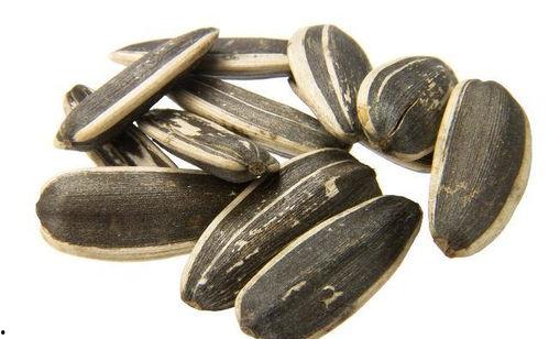 卖瓜子吃瓜,卖瓜子吃瓜的趣味生活