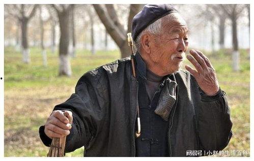 吃瓜群众刘大爷,揭秘娱乐圈那些事儿