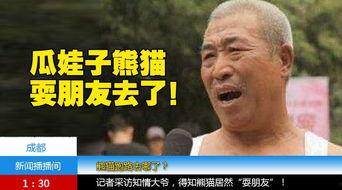 吃瓜群众刘大爷,揭秘娱乐圈那些事儿