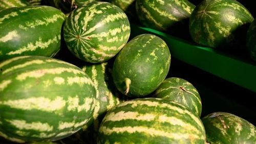 莱州雅致吃瓜事件,一场网络热议背后的真相与反思