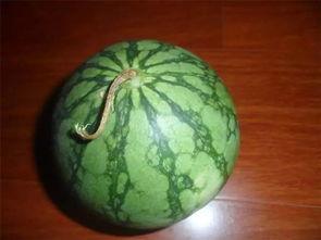 必看吃瓜,揭秘娱乐圈幕后真相