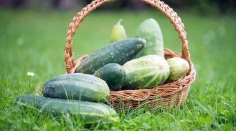 必看吃瓜,揭秘娱乐圈幕后真相