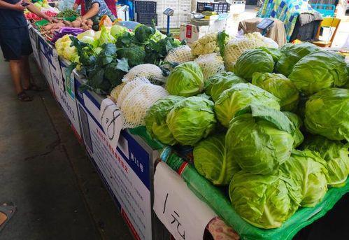 历城吃瓜,揭秘当地特色美食背后的故事