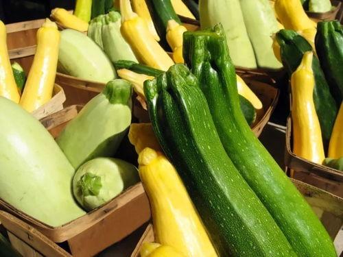 历城吃瓜,揭秘当地特色美食背后的故事