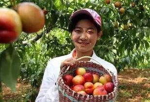 吃瓜放羊,揭秘农村生活的趣味与智慧