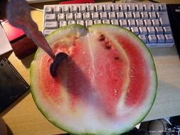 阜阳哥吃瓜,揭秘网络热传事件背后的真相