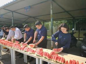 可靠吃瓜小王子,娱乐圈幕后真相大揭秘