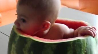 吃瓜婴儿视频,吃瓜婴儿萌态视频走红网络