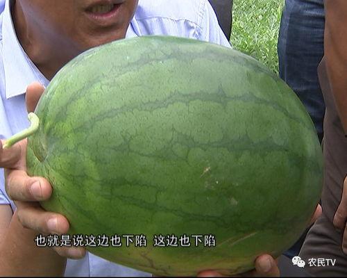 优优吃瓜视频,揭秘娱乐圈幕后故事，带你领略明星真实生活