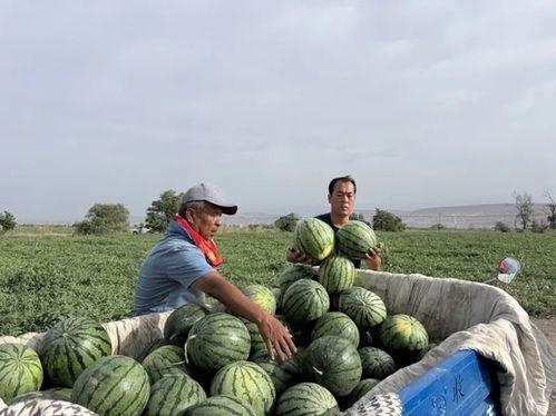 救赎吃瓜,揭秘吃瓜群众的逆袭传奇