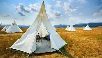 沙漠帐篷吃瓜,帐篷下的瓜果盛宴