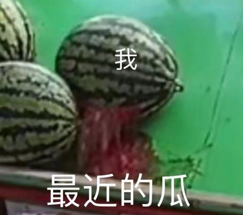 醒来都吃瓜