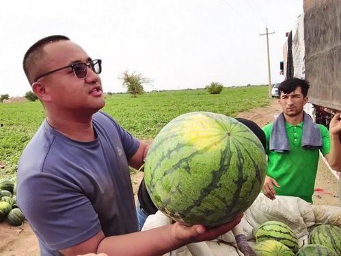 吃瓜天体,一场宇宙中的“瓜界盛宴”