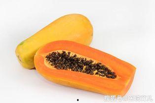 扶手瓜怎样吃最合适,探索最佳食用之道