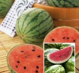 intj喜欢吃瓜吗,揭秘他们是否喜欢“吃瓜”的奥秘