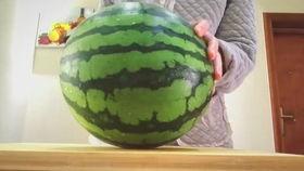 intj喜欢吃瓜吗,揭秘他们是否喜欢“吃瓜”的奥秘