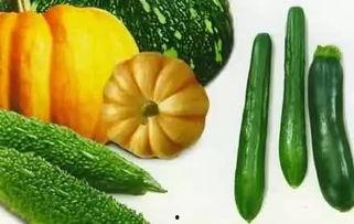 吃瓜灯,传统美食背后的文化传承与匠心独运