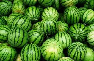 最新爆料吃瓜群,吃瓜群内幕大曝光！