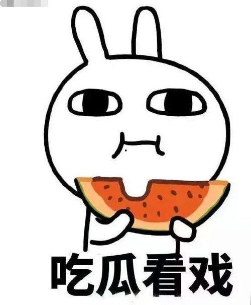 画饼的吃瓜,揭秘吃瓜群众的智慧与幽默
