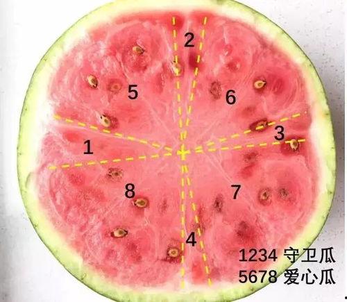 如何吃没籽的瓜,无籽瓜的多样美味吃法揭秘