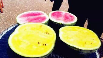 吃大瓜视频,娱乐八卦背后的故事与真相