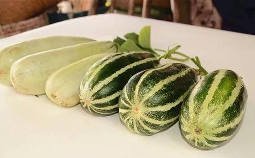 网红吃瓜爆料卷毛瓜,揭秘娱乐圈幕后真相