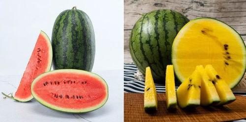 自由吃瓜基组,揭秘网络时代的“吃瓜群众”现象