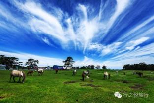 吃瓜岛屿,探寻神秘美食天堂的传奇故事