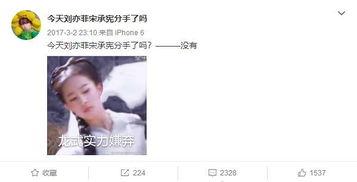 痴情的 吃瓜人,瓜田里的甜蜜与苦涩