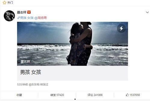 痴情的 吃瓜人,瓜田里的甜蜜与苦涩