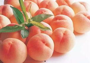 秋秋吃瓜晶核,揭秘神秘美食背后的故事