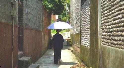 陇南吃瓜群众事件,一场网络舆论的风暴与反思