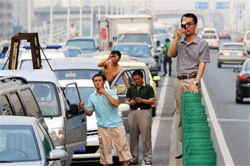 陇南吃瓜群众事件,一场网络舆论的风暴与反思