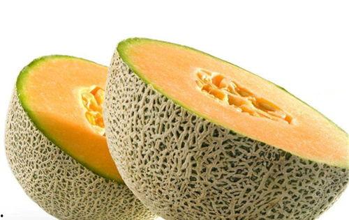 喝朗姆酒吃哈密瓜,尽享异域风情美食之旅