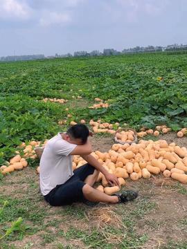 70后妈妈吃瓜,吃瓜时代的育儿观与生活态度