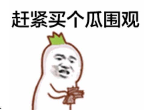 吃瓜群众审核视频,揭秘吃瓜群众视角下的热门视频幕后真相