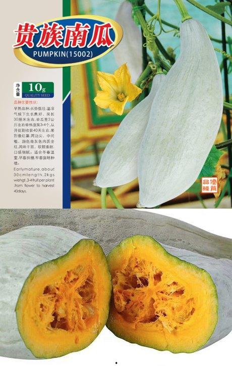 新疆丑瓜 怎么吃,解锁美味新体验