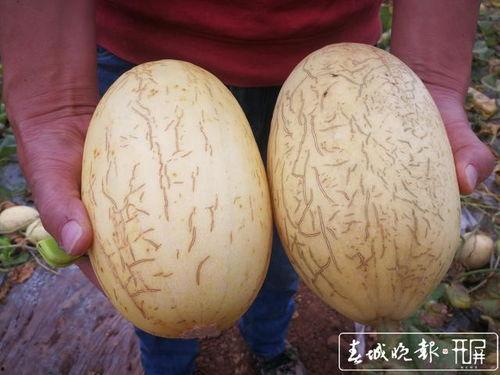 新疆丑瓜 怎么吃,解锁美味新体验