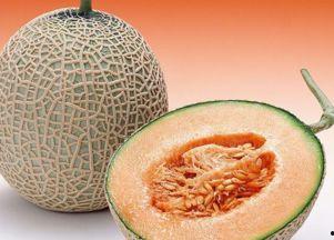 吃哈密瓜大便硬,揭秘大便变硬的奥秘