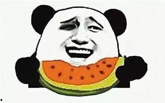 吃瓜的师父,网络红人的崛起与影响力