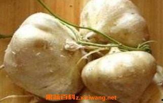 梦见自己吃生土瓜,揭秘生土瓜的神秘寓意