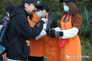 老年吃瓜观众,老年观众的独特视角