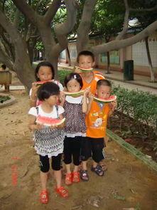 老年吃瓜观众,老年观众的独特视角