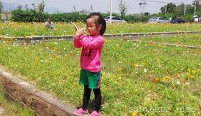 农大草坪吃瓜,夏日吃瓜好去处