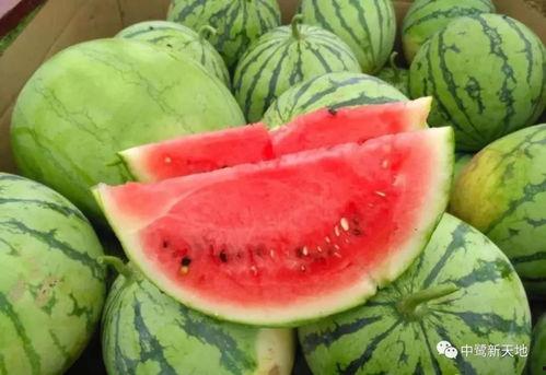 学生快速吃瓜,学生们的“吃瓜”狂潮