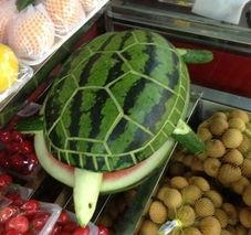 扶着墙吃瓜,揭秘娱乐圈的幕后故事