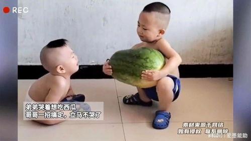 哥哥吃瓜后续,真相大白，网友热议不断